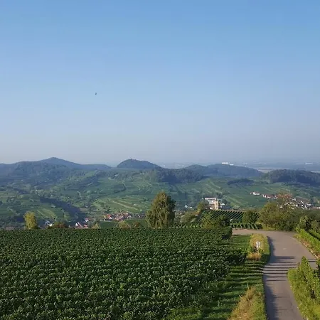 In Vogtsburg-bischoffingen With 1 Bedroom بيت للعطل *