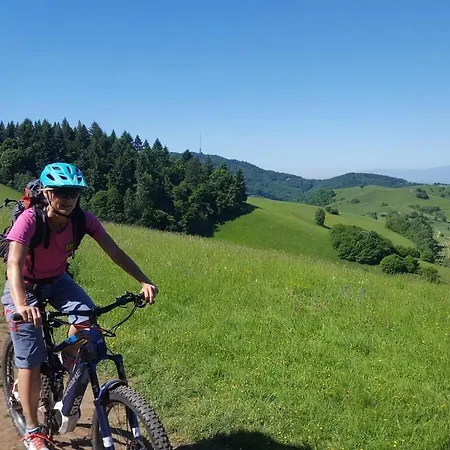 In Vogtsburg-bischoffingen With 1 Bedroom *